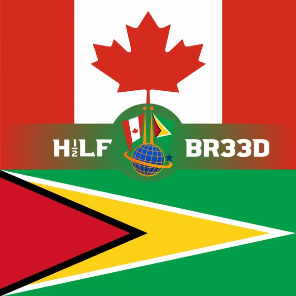 H1/2LF BR33D – CANADA - GUYANA FLAG