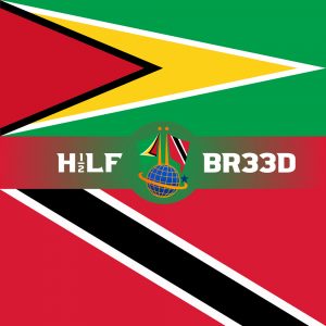 H1/2LF BR33D – GUYANA – TRINIDAD & TOBAGO FLAG