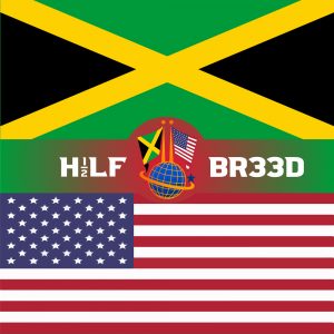 H1/2LF BR33D - JAMAICA-USA