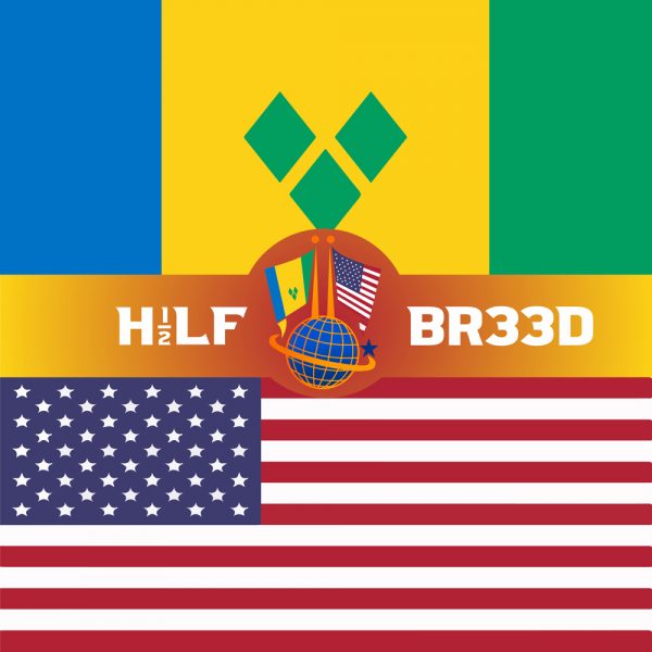 H1/2LF BR33D – ST. VINCENT - USA FLAG